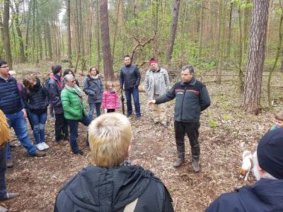 Waldspaziergang mit Revierf�rster Frank Mosch am 29.04.2017